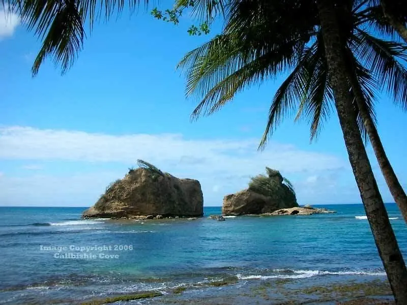Hotel Calibishie Cove