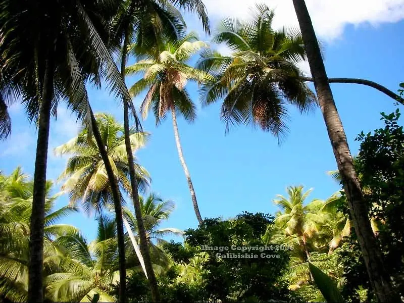 Hotel Calibishie Cove