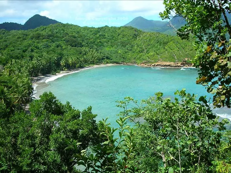 Hotel Calibishie Cove